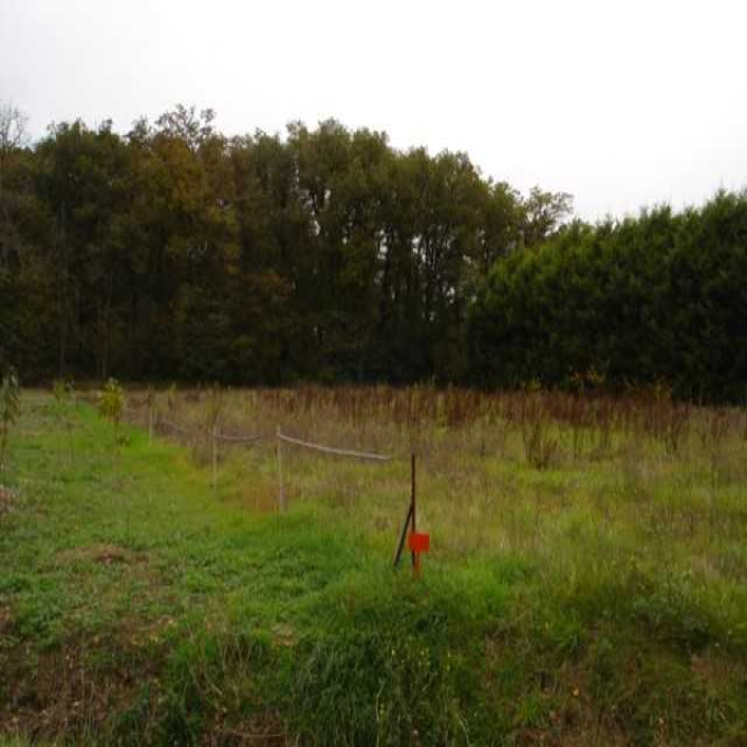 Offres de vente Terrain Ricaud (11400)