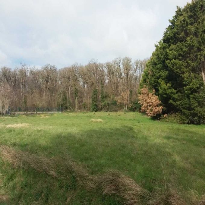 Offres de vente Terrain Ricaud (11400)
